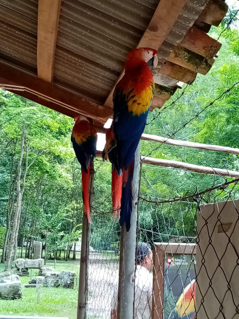 Aventura cultural en Copán con ES Tours
